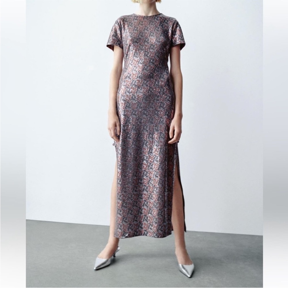 Zara Shimmery Maxi Dress